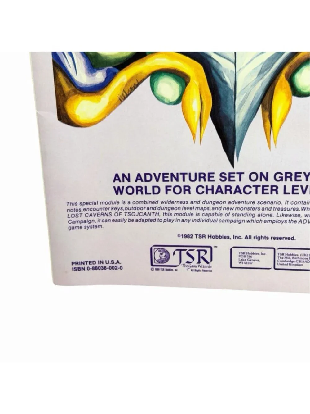 1982 Dungeons & Dragons Module WG4 The Forgotten Temple of Tharizdun TSR 9065